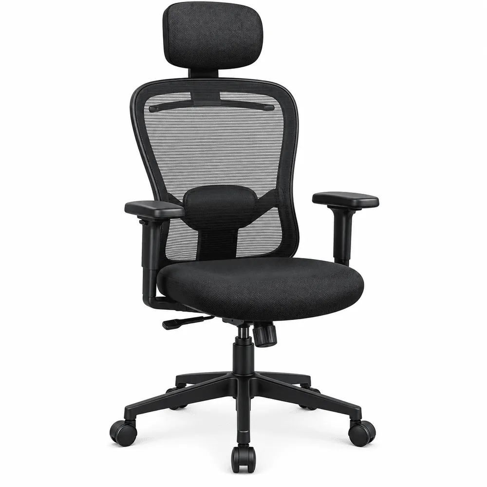 Ergonomic Mesh Chair